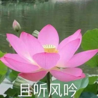 乡村行·看振兴丨湖南益阳赫山区：山乡之变春日走笔